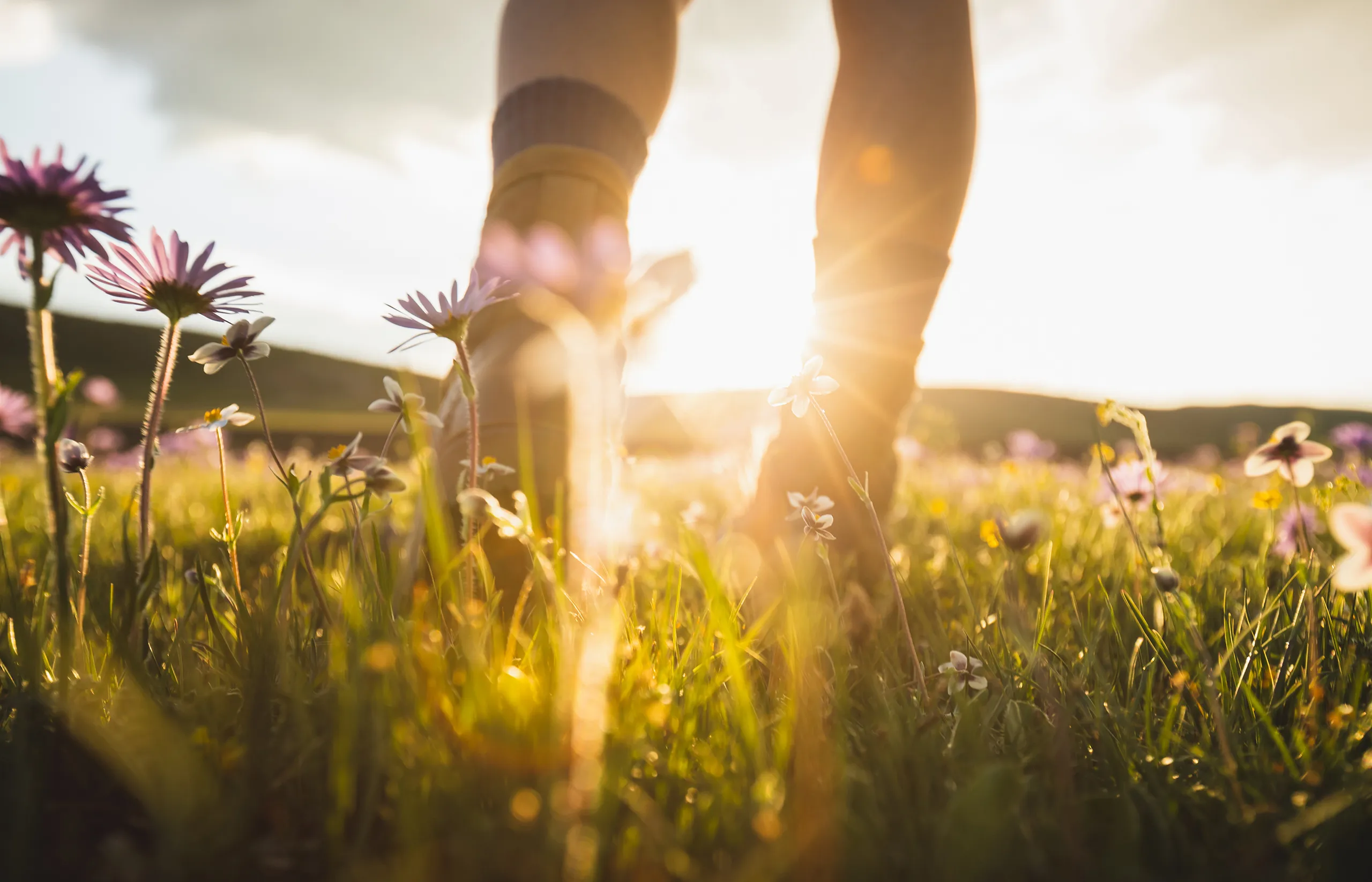Wanderurlaub Müritz, Ihre gastgebenden Hotels und Pension in Waren (Müritz)